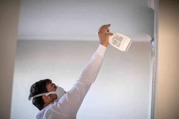 Best Post-Flood Mold Remediation in Sebastian, TX