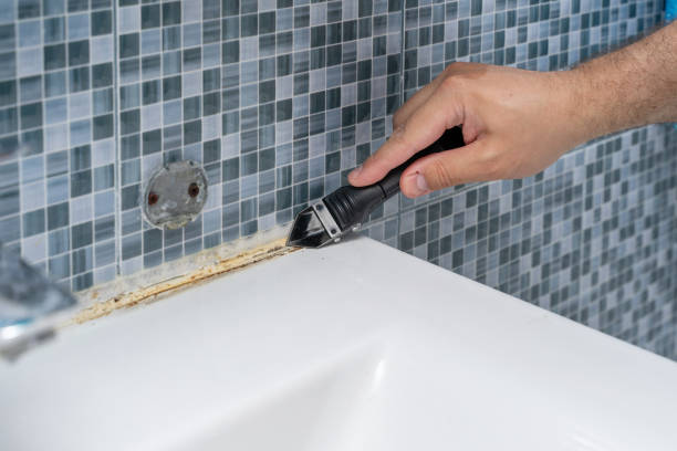 Best Mold Remediation for Schools in Sebastian, TX